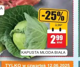 Bingo Kapusta młoda biała oferta