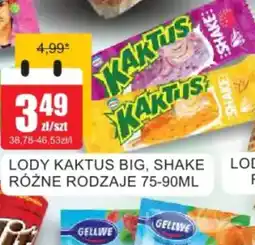 Bingo Lody Kaktus Big, Shake oferta
