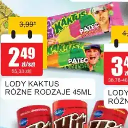 Bingo Lody Kaktus oferta