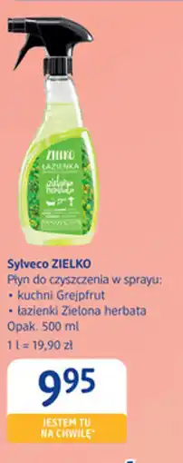 dm drogerie markt Sylveco Zielko oferta