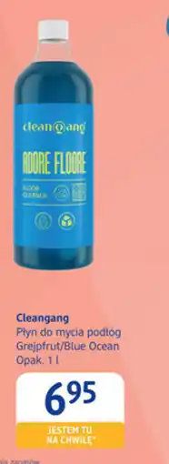 dm drogerie markt Cleangang Płyn do mycia podłóg oferta