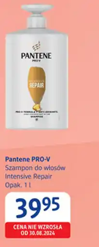 dm drogerie markt Pantene PRO-V Szampon do włosów Intensive Repair oferta