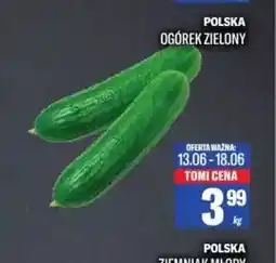 TomiMarkt Ogórek zielony oferta