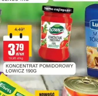 Bingo Koncentrat pomidorowy Lowicz oferta