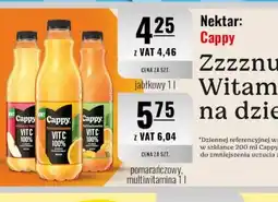 Eurocash Nektar Cappy oferta