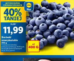 Lidl Borówki amerykańskie oferta