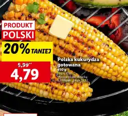 Lidl Polska kukurydza gotowana oferta