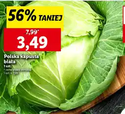 Lidl Polska kapusta biała oferta
