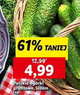 Lidl Polskie ogórki gruntowe oferta
