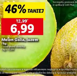 Melon Galia