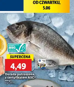 Lidl Dorada patroszona oferta