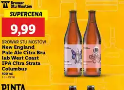 Lidl Piwo Browar Stu Mostów oferta