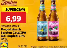 Lidl Piwo Browar Amber oferta