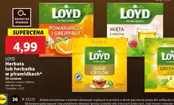 Lidl Herbata Lipton oferta
