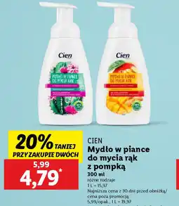 Lidl Mydło w piance do mycia rąk Cien oferta