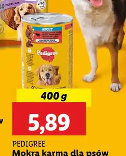 Lidl Pedigree Mokra karma dla psów oferta