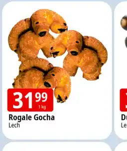 E.Leclerc Rogale Gocha Lech oferta