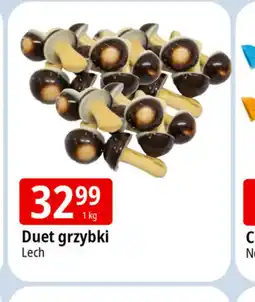 E.Leclerc Duet grzybki Lech oferta