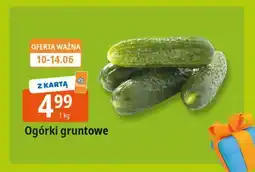 E.Leclerc Ogórek gruntowy oferta
