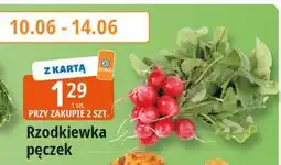E.Leclerc Rzodkiewka oferta