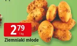 E.Leclerc Ziemniaki młode oferta