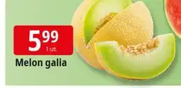 E.Leclerc Melon galia oferta