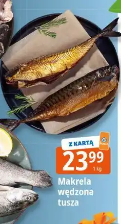 E.Leclerc Makrela wędzona tusza oferta