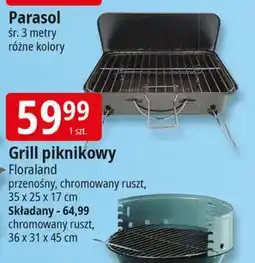 E.Leclerc Grill składny 36 x 31 45 cm Floraland oferta