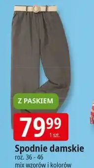 E.Leclerc Spodnie damskie 36-46 oferta
