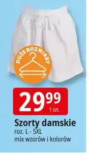 E.Leclerc Szorty damskie l-5xl oferta