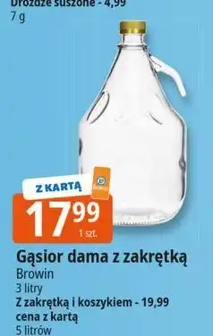 E.Leclerc Gąsior dama w koszyku 5 l Browin oferta