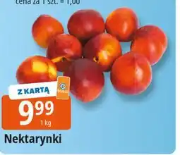 E.Leclerc Nektarynki oferta