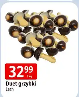 E.Leclerc Ciastka wesołe grzybki w czekoladzie mlecznej Lech oferta