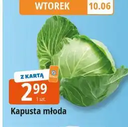 E.Leclerc Kapusta młoda oferta