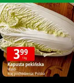 E.Leclerc Kapusta pekińska polska oferta