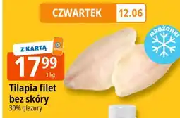 E.Leclerc Tilapia filet bez skóry oferta