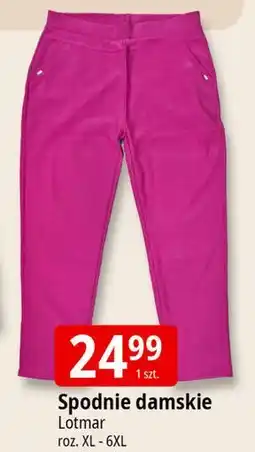 E.Leclerc Spodnie damskie Lotmar oferta