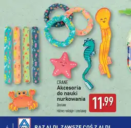 ALDI Akcesoria do nauki nurkowania Crane oferta