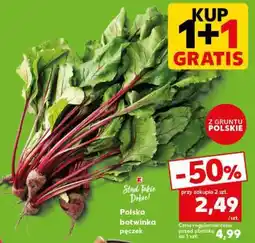 Kaufland Polska botwinka pęczek oferta
