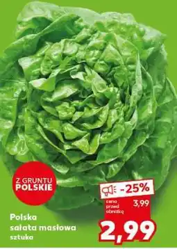 Kaufland Polska sałata masłowa sztuka oferta