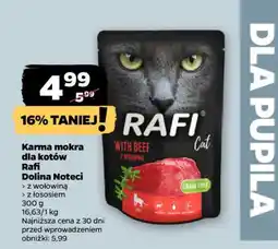 Netto Rafi Dolina Noteci oferta