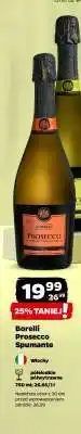 Netto Borelli Prosecco Spumante oferta