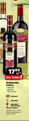 Netto Mołdawska Dolina oferta