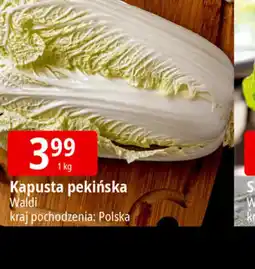 E.Leclerc Kapusta pekińska Waldi oferta
