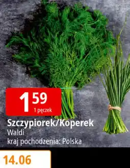 E.Leclerc Szczypiorek/Koperek Waldi oferta