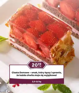 Dantex Ciasta Domowe oferta