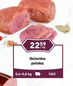 Dantex Golonka polska oferta