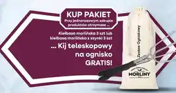 Dantex Kij teleskopowy na ognisko oferta