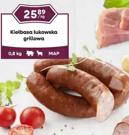 Dantex Kiełbasa łukowska grillowa oferta