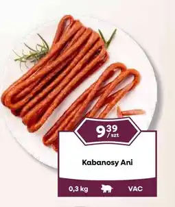 Dantex Kabanosy Ani oferta